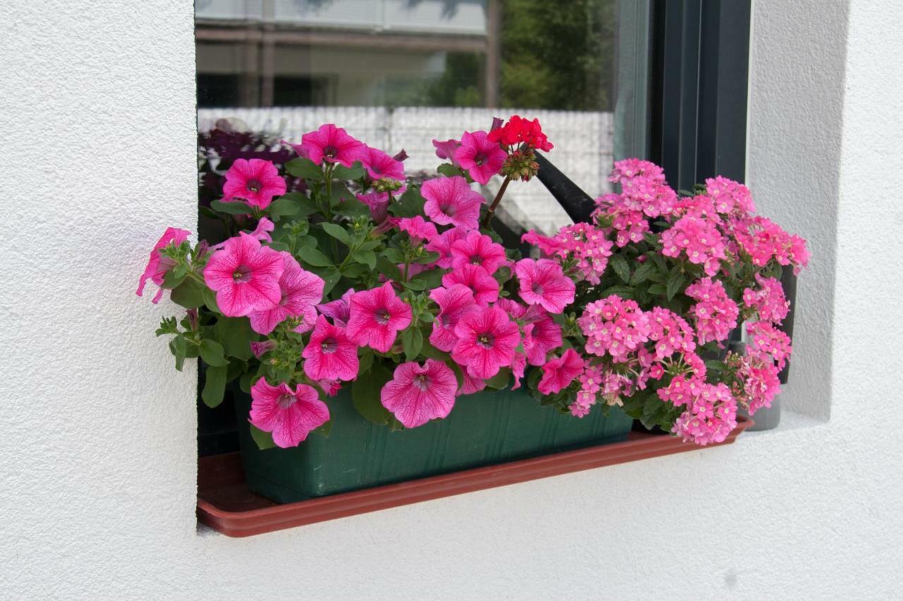 Ferienwohnung Heissl ฟีบาบรุนน์ ภายนอก รูปภาพ